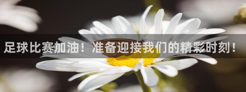足球比赛加油！准备迎接我们的精彩时刻！