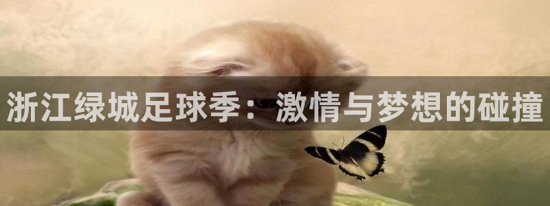  浙江绿城足球季：激情与梦想的碰撞