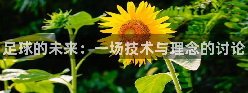 足球的未来：一场技术与理念的讨论