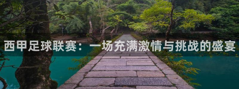 西甲足球联赛：一场充满激情与挑战的盛
