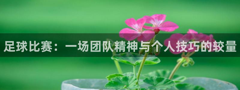 足球比赛：一场团队精神与个人技巧的较
