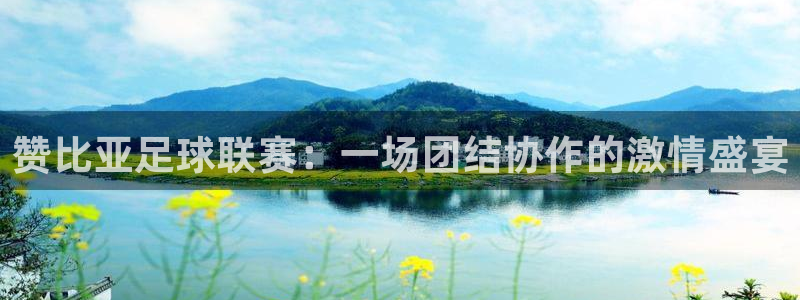 赞比亚足球联赛：一场团结协作的激情盛