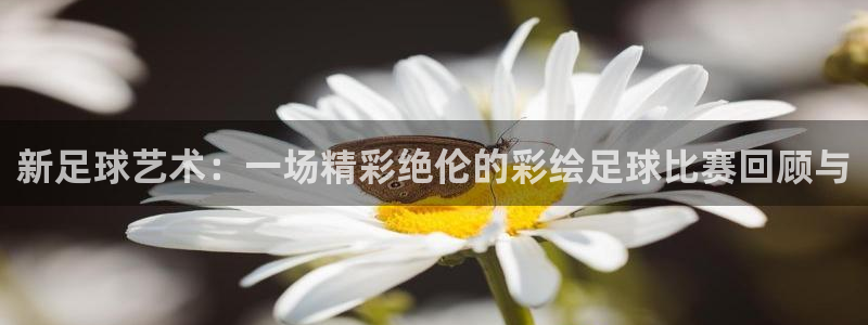 新足球艺术：一场精彩绝伦的彩绘足球比