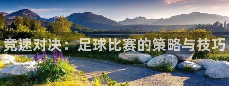 竞速对决：足球比赛的策略与技巧