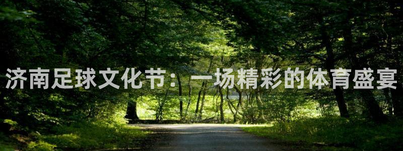 济南足球文化节：一场精彩的体育盛宴