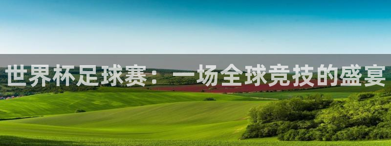 世界杯足球赛：一场全球竞技的盛宴