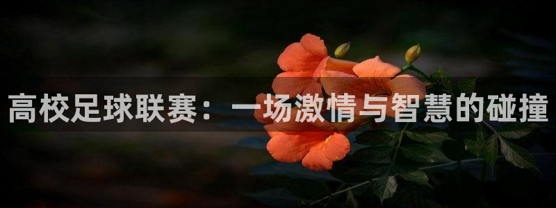 高校足球联赛：一场激情与智慧的碰撞