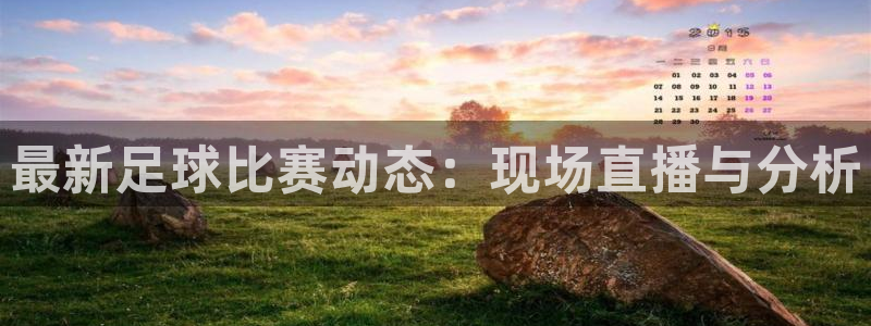  最新足球比赛动态：现场直播与分析
