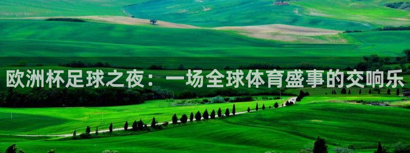 欧洲杯足球之夜：一场全球体育盛事的交