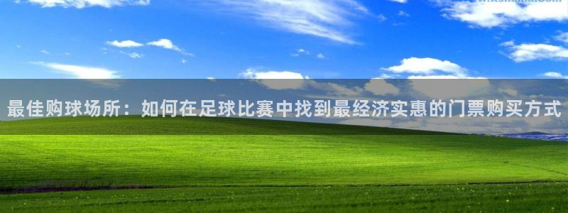 最佳购球场所：如何在足球比赛中找到最经济实惠的门票购买方式