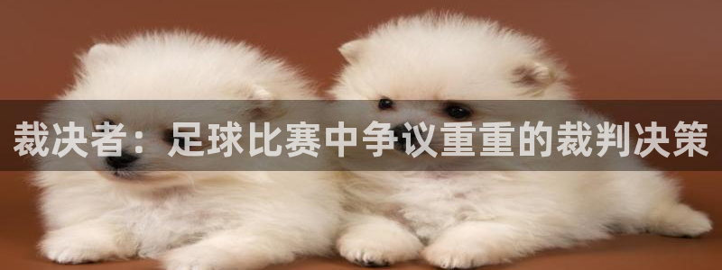 裁决者：足球比赛中争议重重的裁判决策