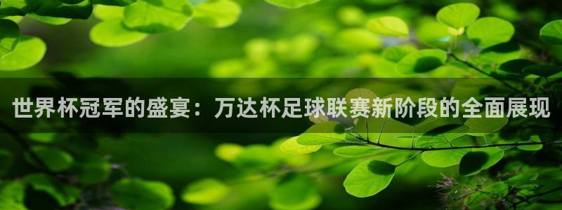 世界杯冠军的盛宴：万达杯足球联赛新阶