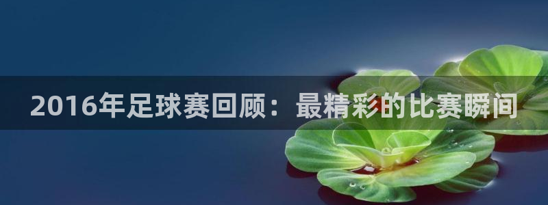 2016年足球赛回顾：最精彩的比赛瞬间
