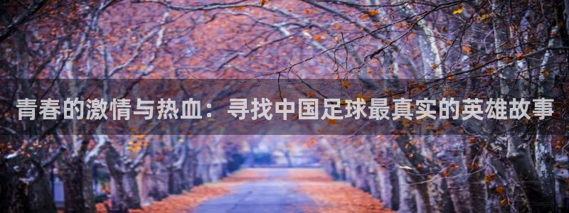 青春的激情与热血：寻找中国足球最真实的英雄故事