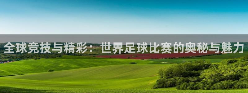 全球竞技与精彩：世界足球比赛的奥秘与