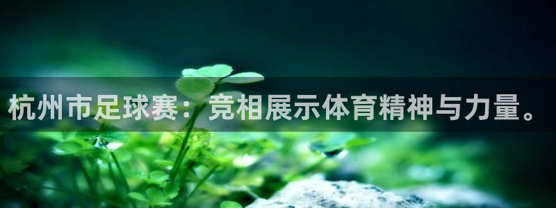  杭州市足球赛：竞相展示体育精神与力量。