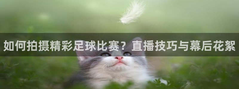  如何拍摄精彩足球比赛？直播技巧与幕后花絮