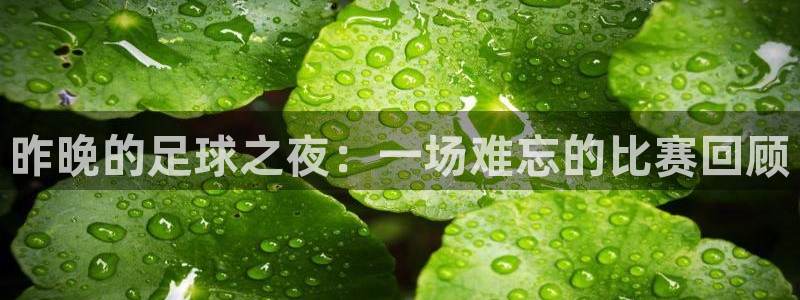 昨晚的足球之夜：一场难忘的比赛回顾